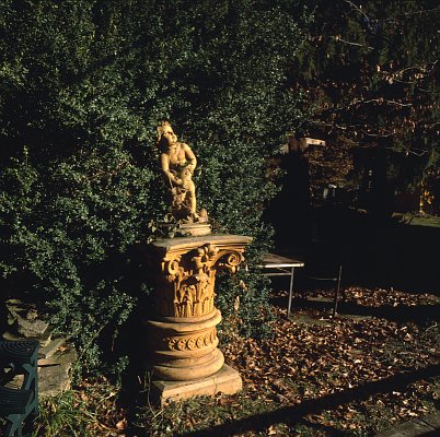 foto taken with Kiev-60 Flektogon 50/4