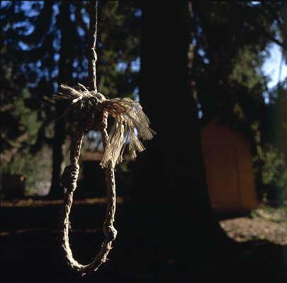 foto taken with Kiev-60 Flektogon 50/4