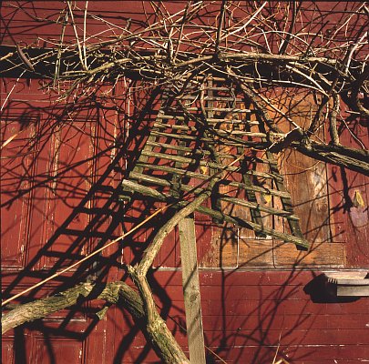 foto taken with Kiev-60 Flektogon 50/4