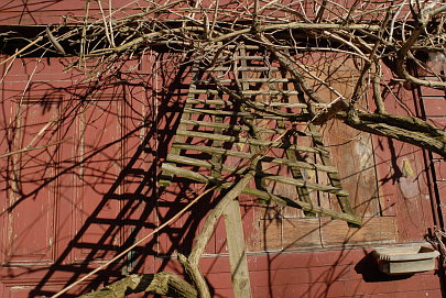foto taken with Nikon D200 20/2.8
